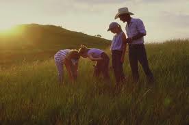 Family Farm