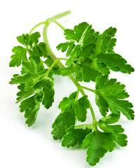 Parsley