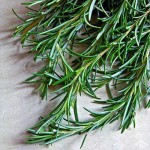 Rosemary