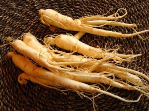 Holistic Winter Survival Tips: Ginseng