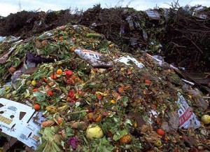 Thanksgiving Food Waste Facts